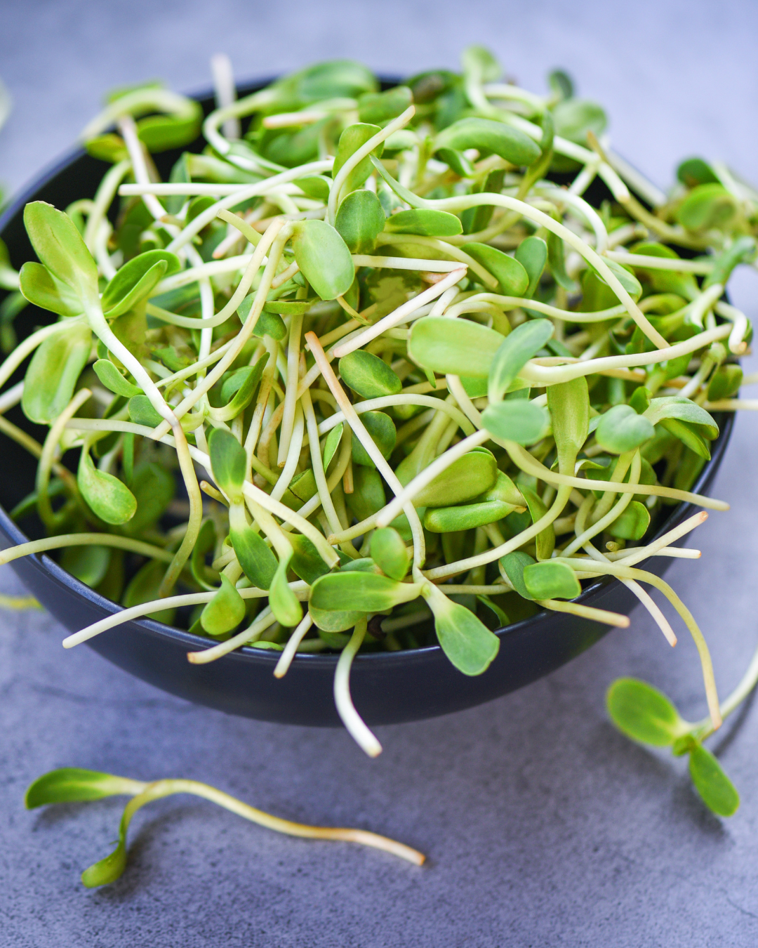 Microgreens