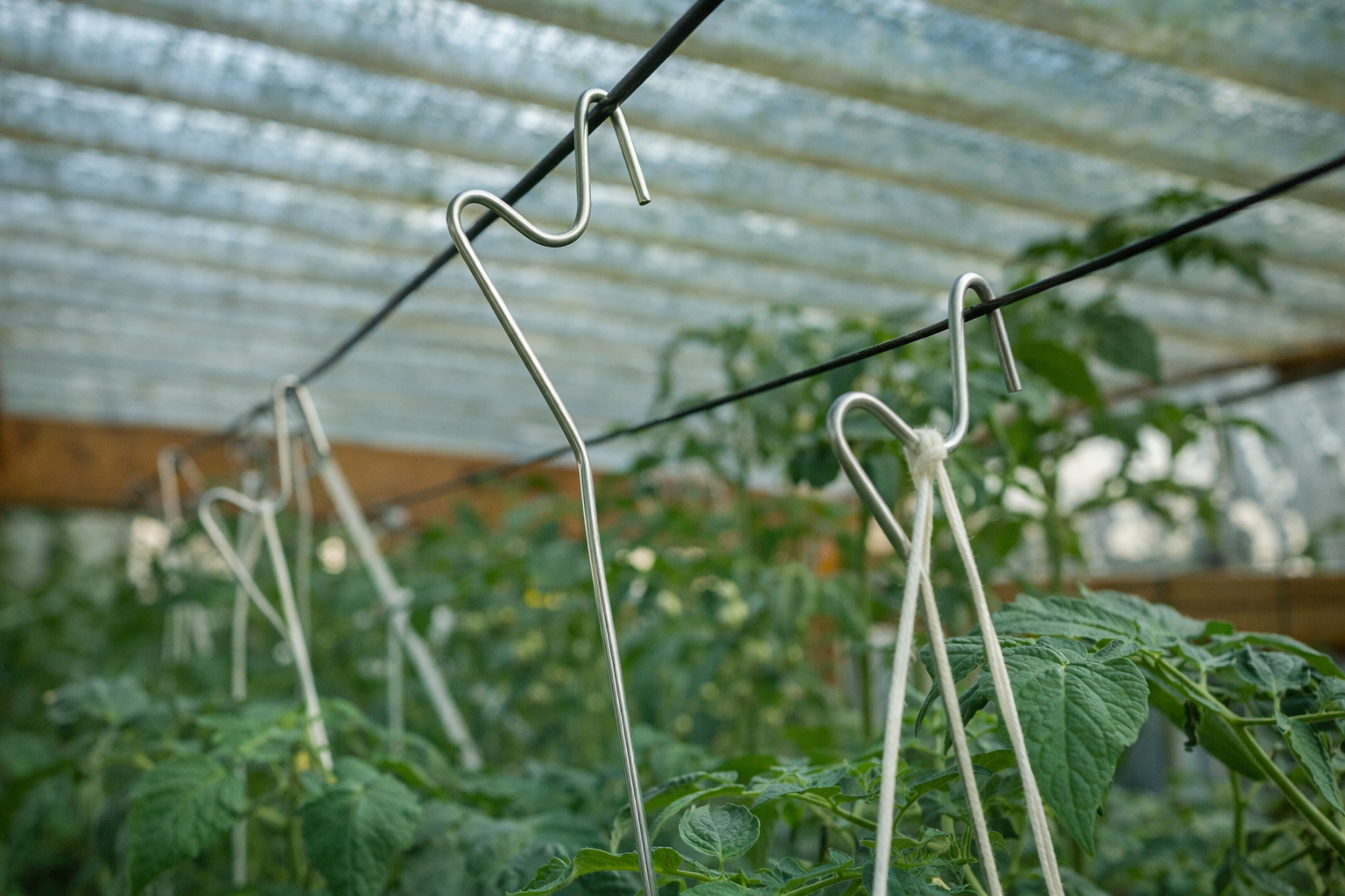 Tomatenhaken & Zubehör