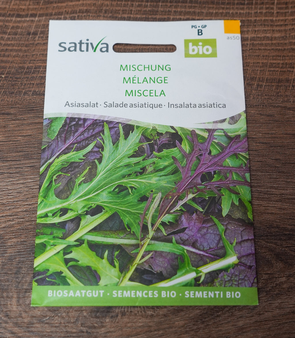 Asiasalat Mischung Sativa Saatgut