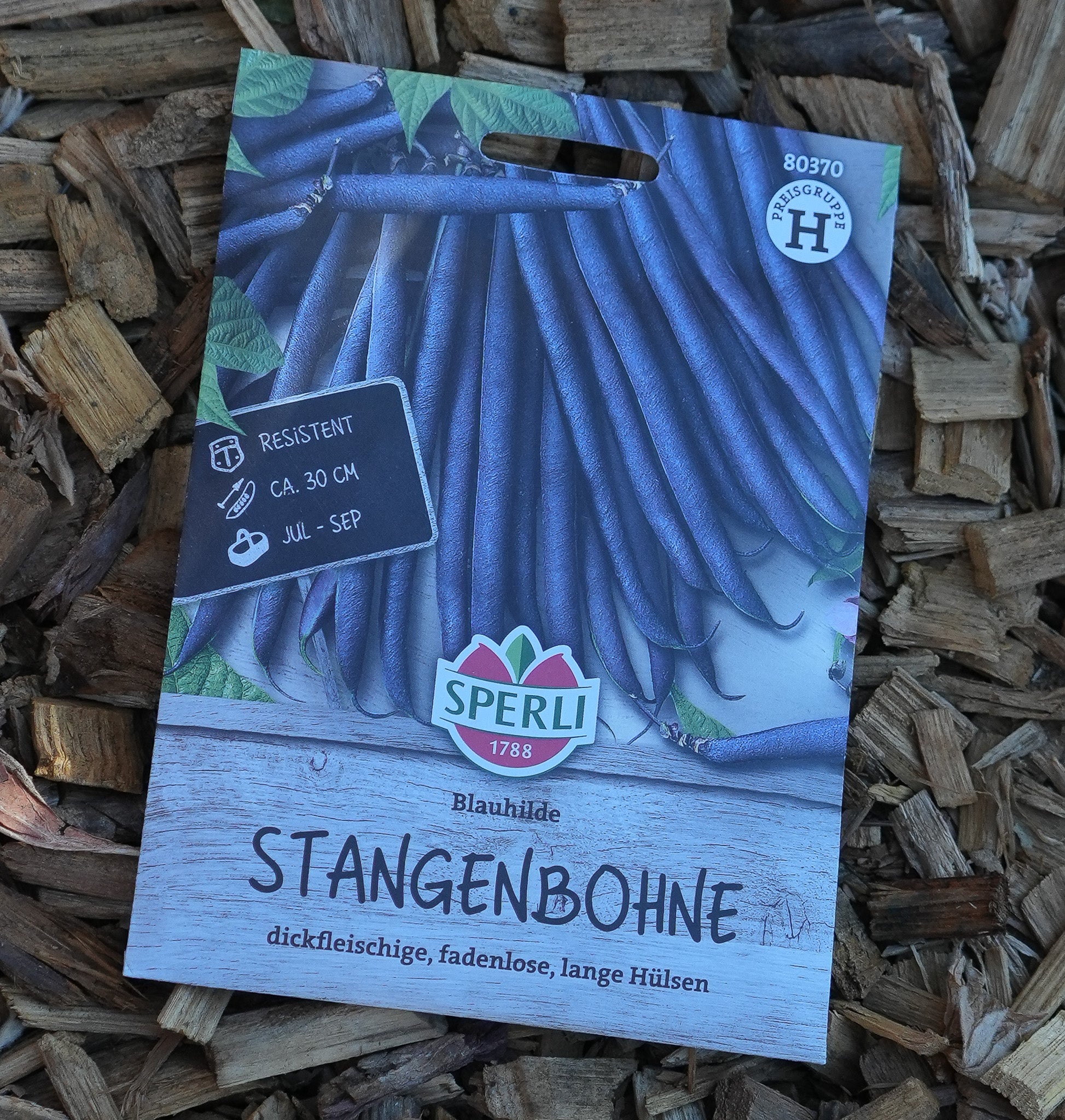 Stangenbohne "Blauhilde" Saatgut