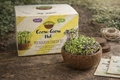 Microgreen Sprossen Starter-Set "Grow-Grow Nut"
