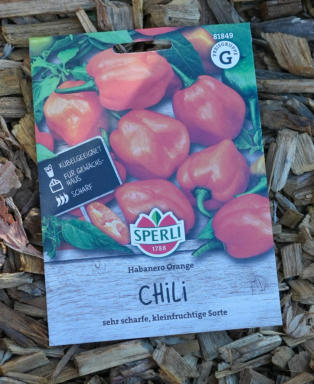 Chili "Habanero Orange" Saatgut