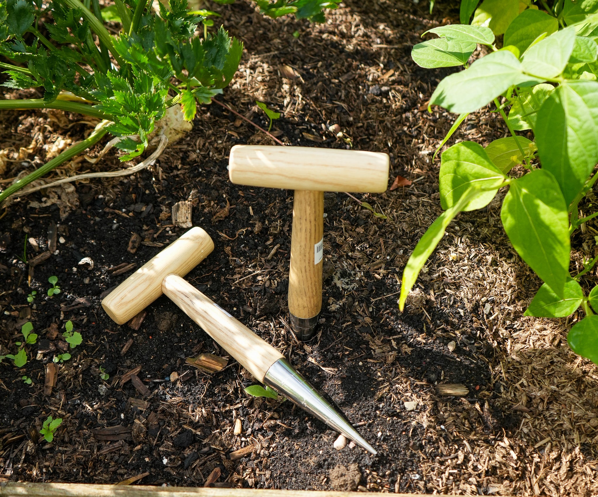 Pflanzholz aus Edelstahl mit Holzgriff