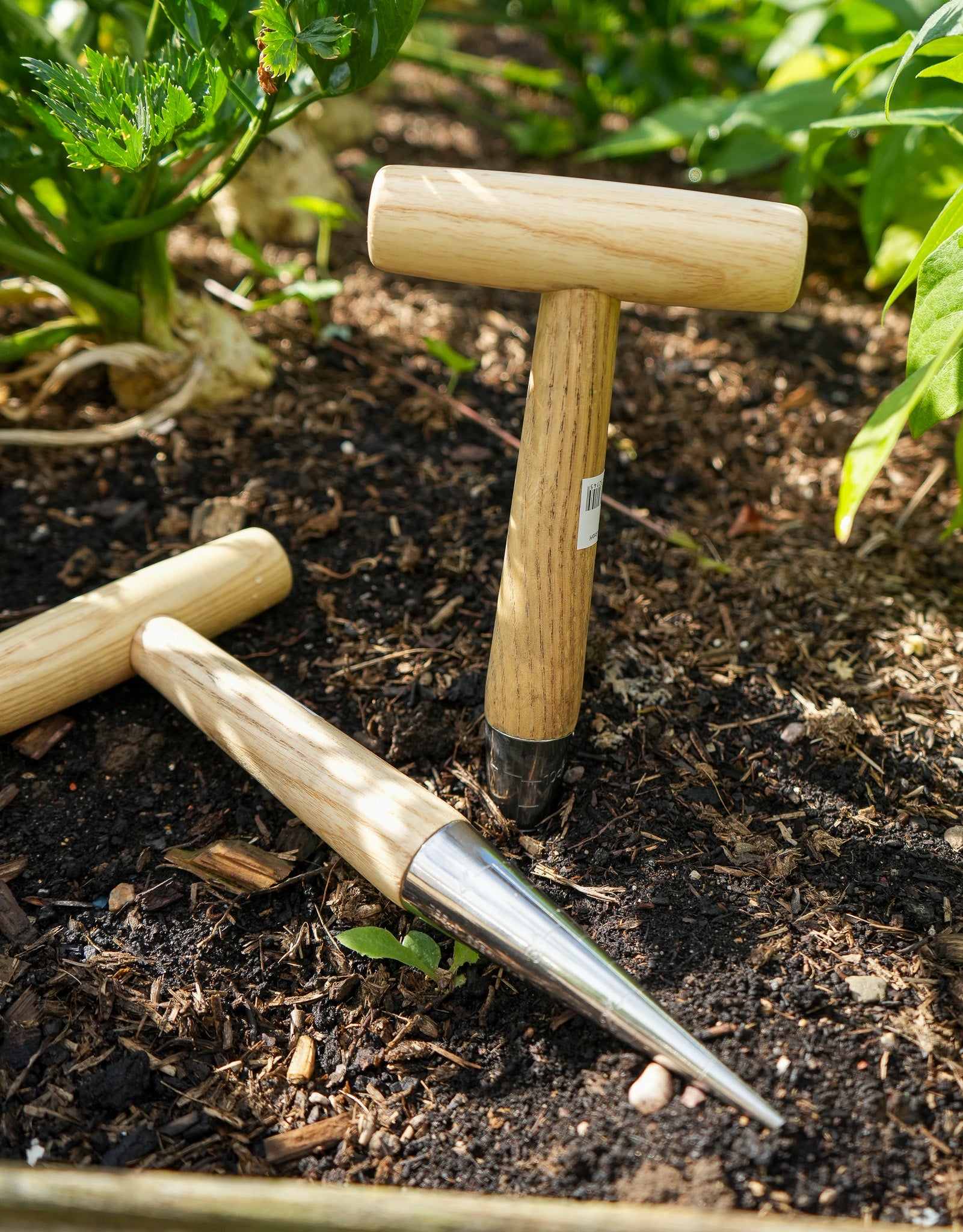 Pflanzholz aus Edelstahl mit Holzgriff