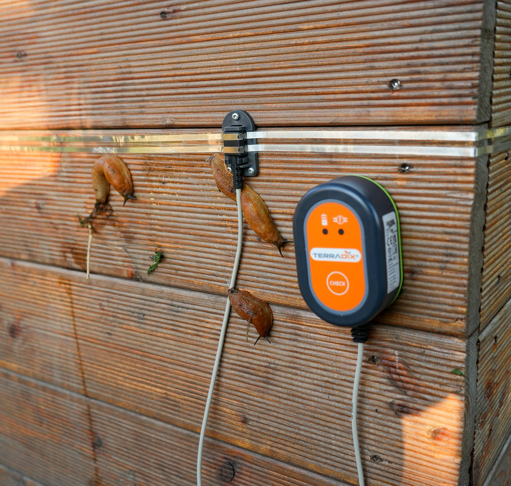 Elektrischer Schnecken-Zaun für Hochbeete und Beetumrandungen