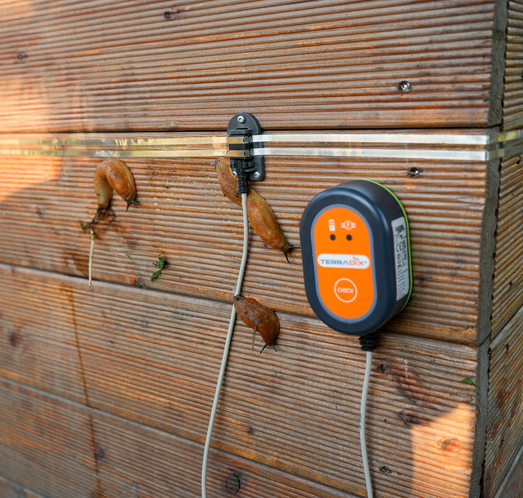 Elektrischer Schnecken-Zaun für Hochbeete und Beetumrandungen