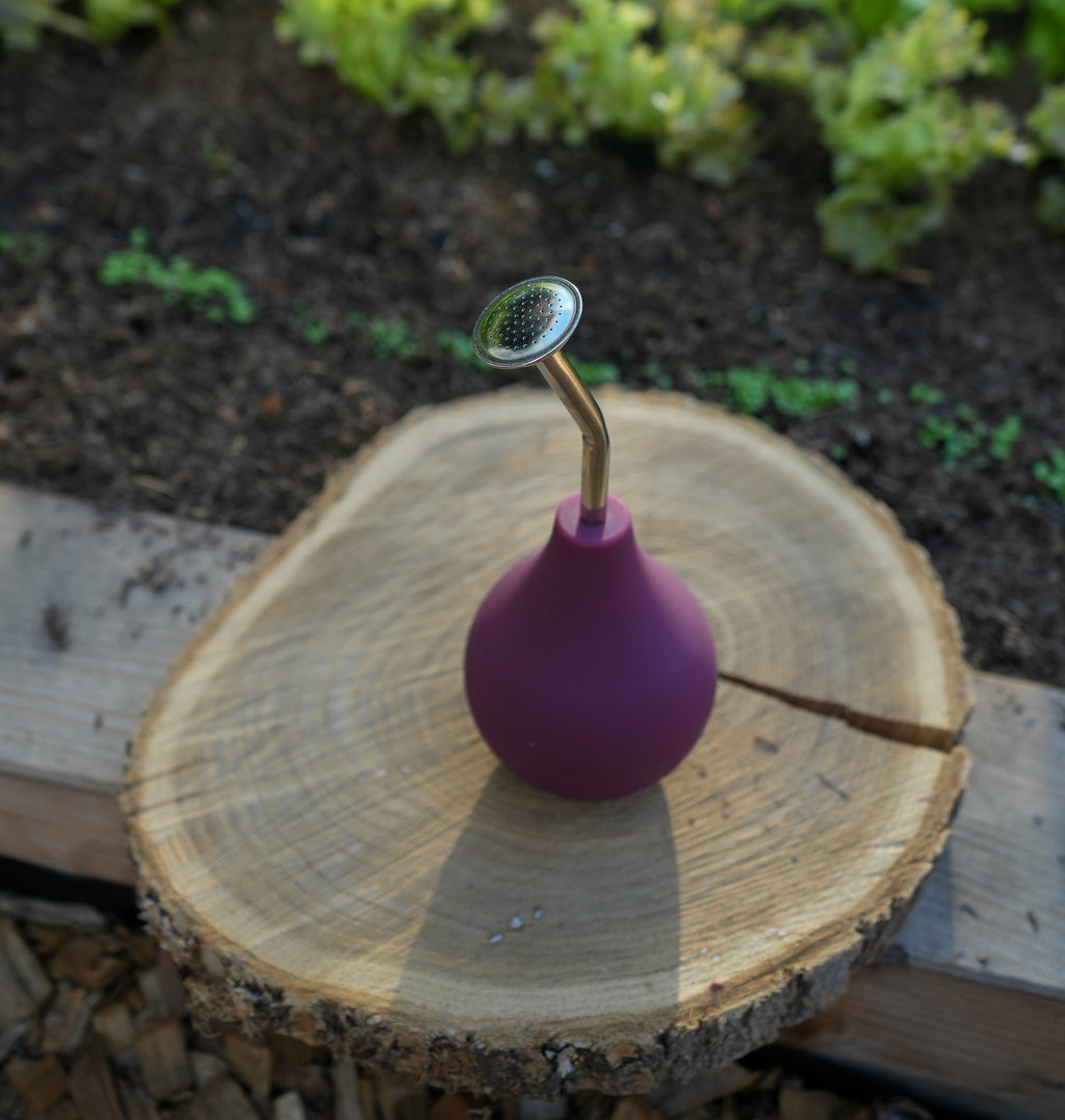 Kleine Ballbrause 250ml brombeere - Gießbrause für Keimlinge und Jungpflanzen