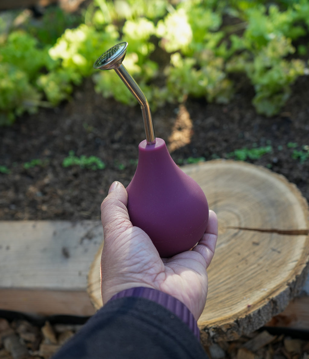 Kleine Ballbrause 250ml brombeere - Gießbrause für Keimlinge und Jungpflanzen