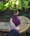 Kleine Ballbrause 250ml brombeere - Gießbrause für Keimlinge und Jungpflanzen