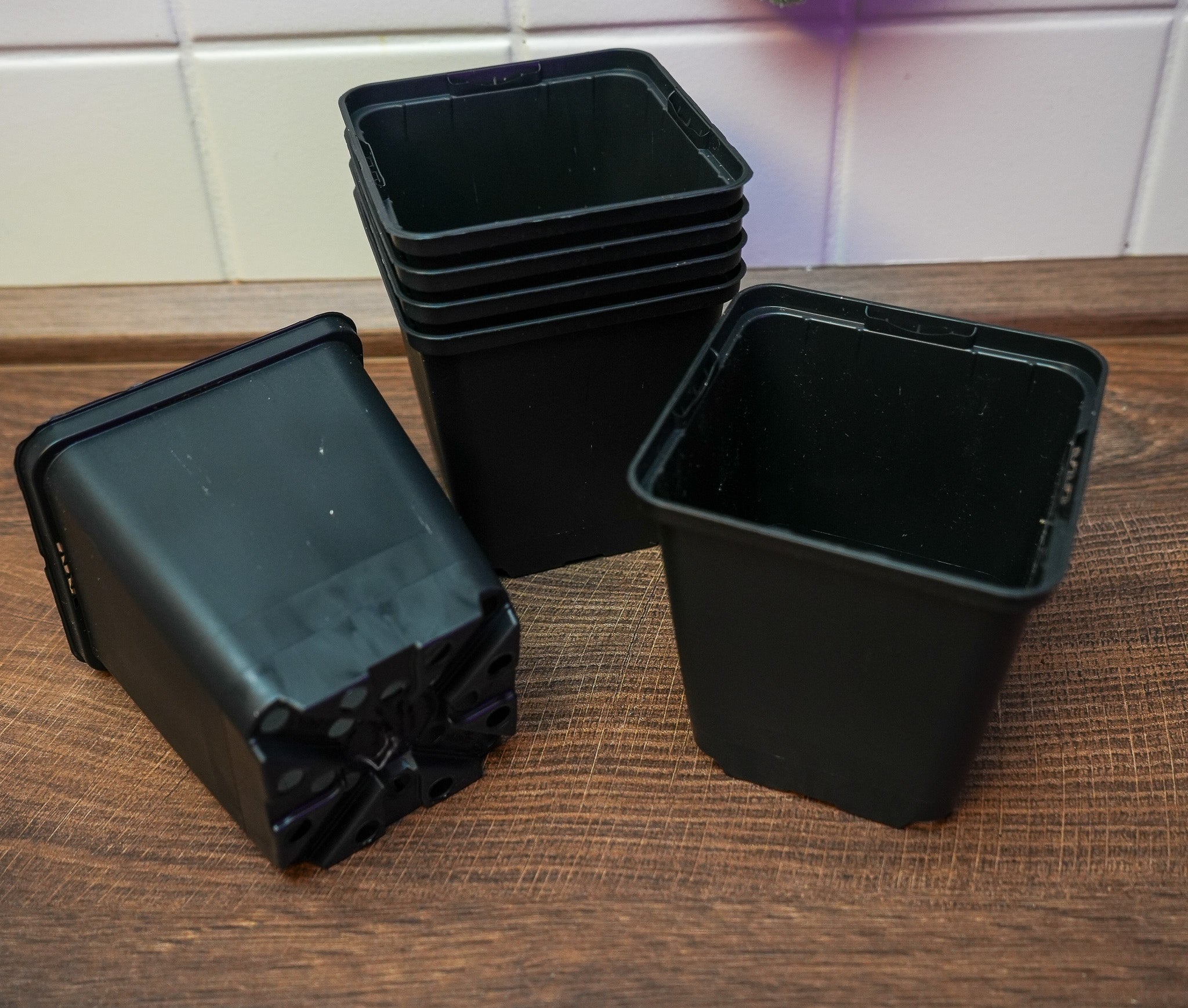 10x Vierecktopf 9x9x9,5cm - perfekt für Jungpflanzen
