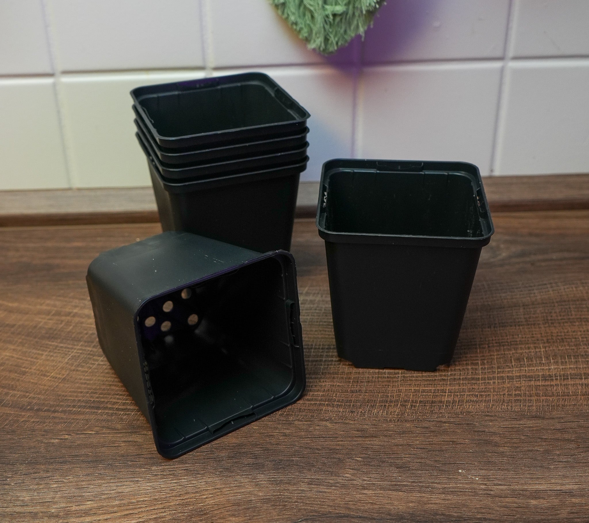5x Vierecktopf 13x13x13cm - perfekt für Jungpflanzen