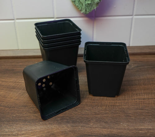 5x Vierecktopf 13x13x13cm - perfekt für Jungpflanzen