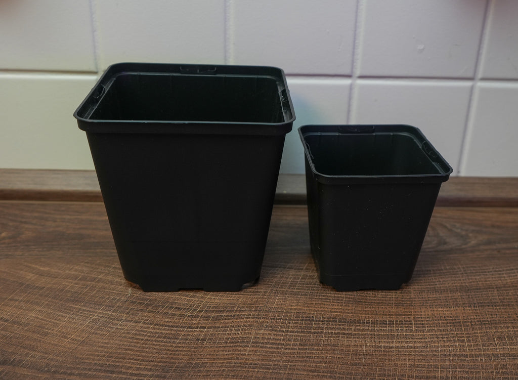 5x Vierecktopf 13x13x13cm - perfekt für Jungpflanzen