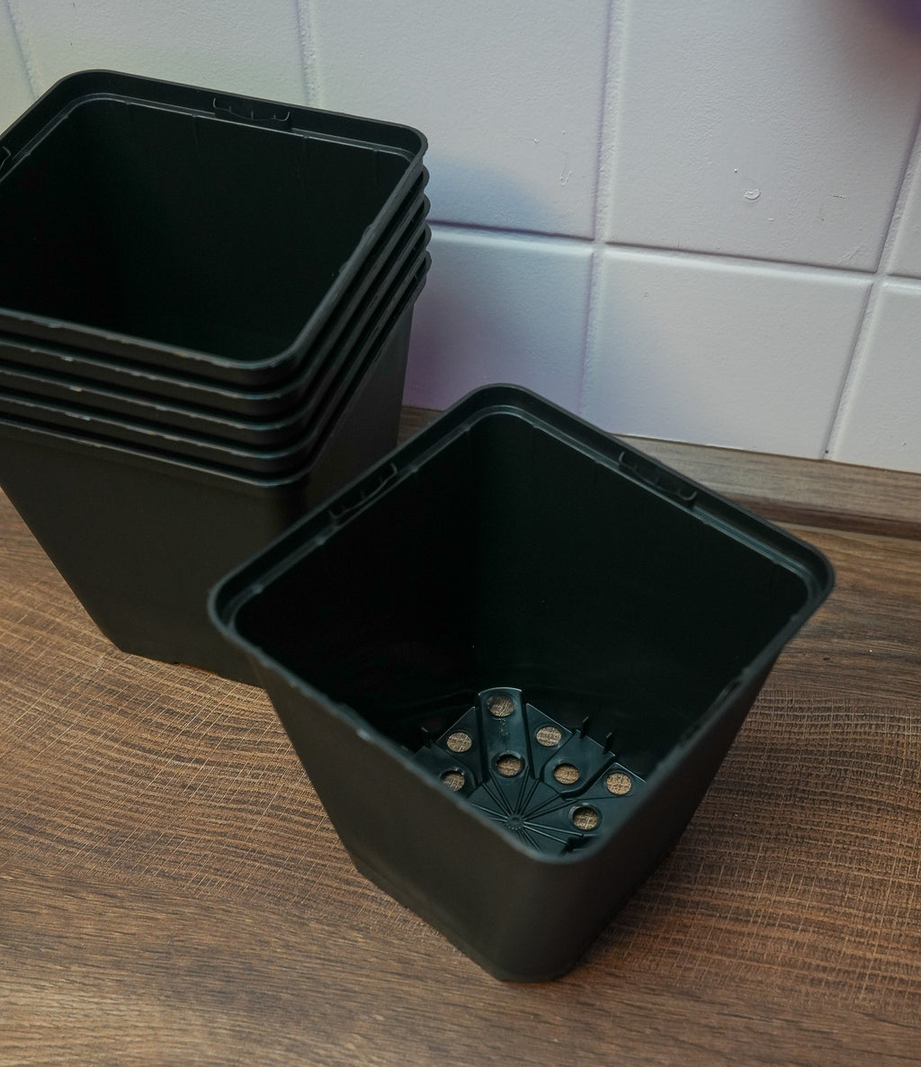 10x Vierecktopf 9x9x9,5cm - perfekt für Jungpflanzen