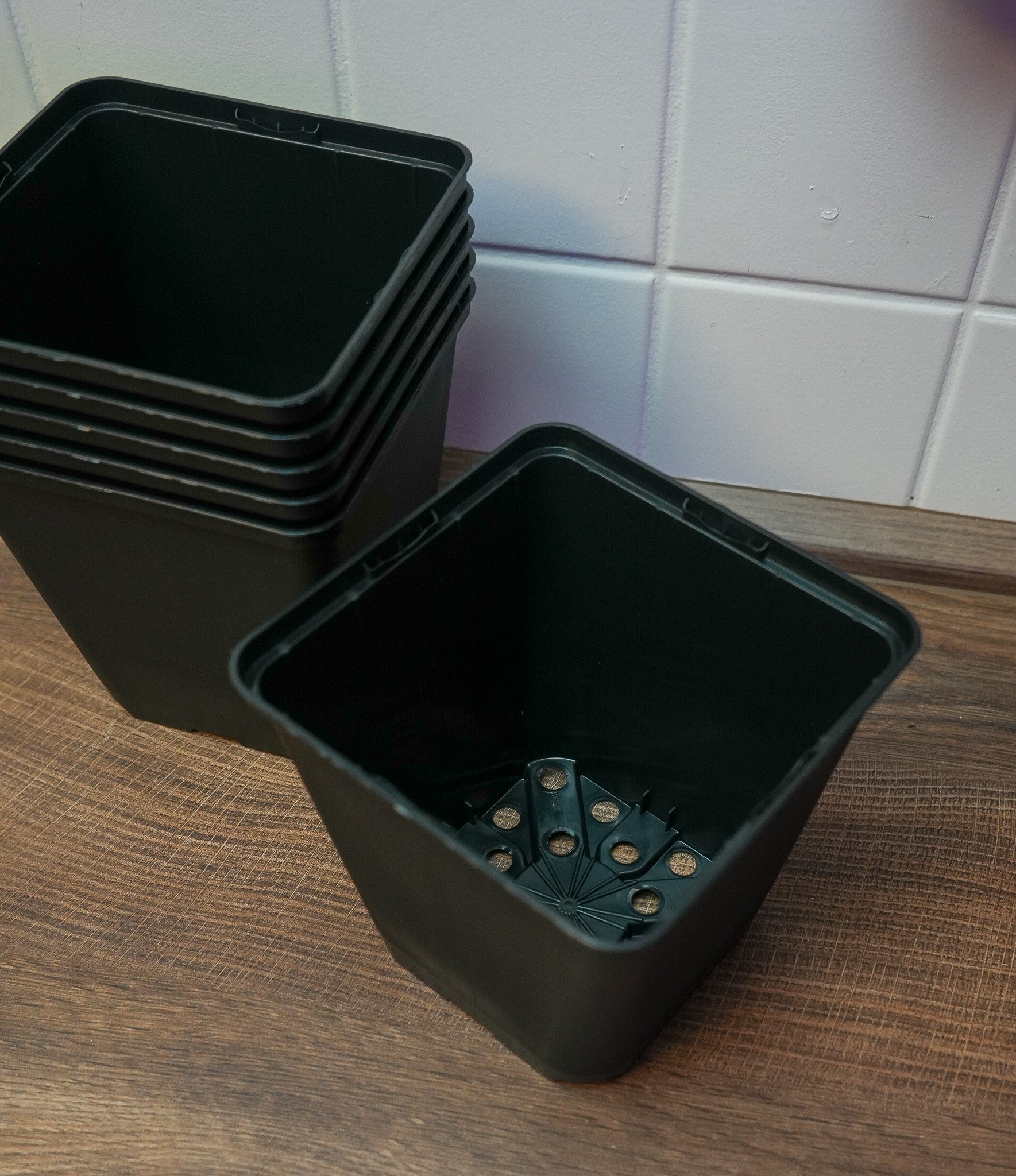 10x Vierecktopf 9x9x9,5cm - perfekt für Jungpflanzen