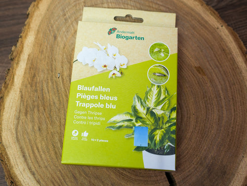 Blautafeln 2x10 Stück Klebefalle bei Thripsbefall