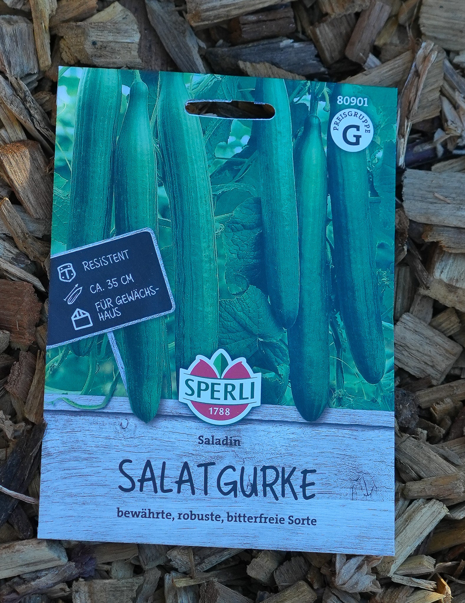 Gurke "Saladin" Saatgut F1