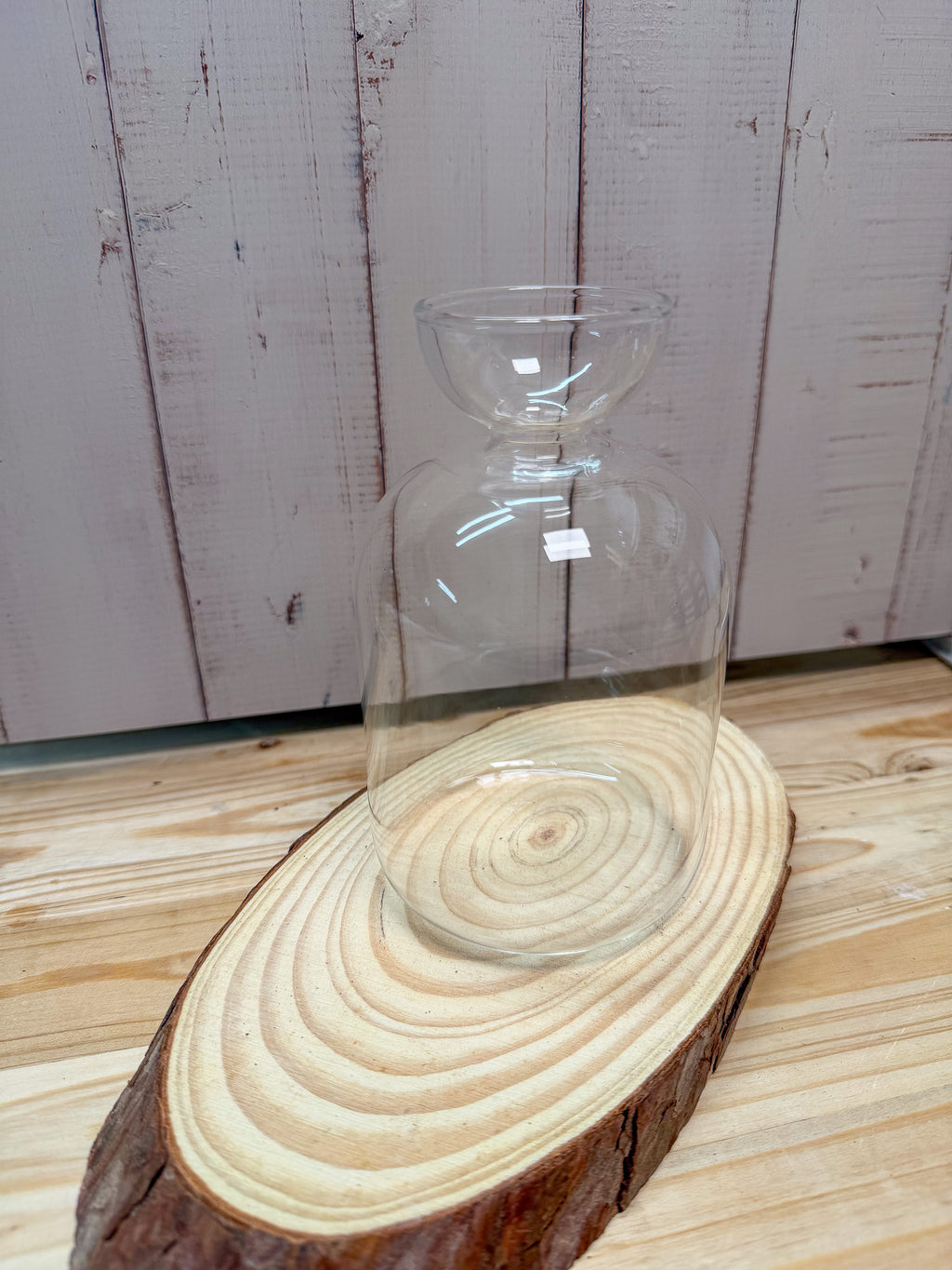 Avocadobaum Anzuchtset aus Glas