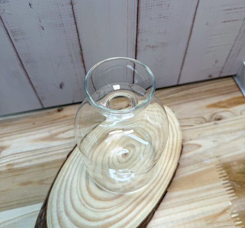 Avocadobaum Anzuchtset aus Glas