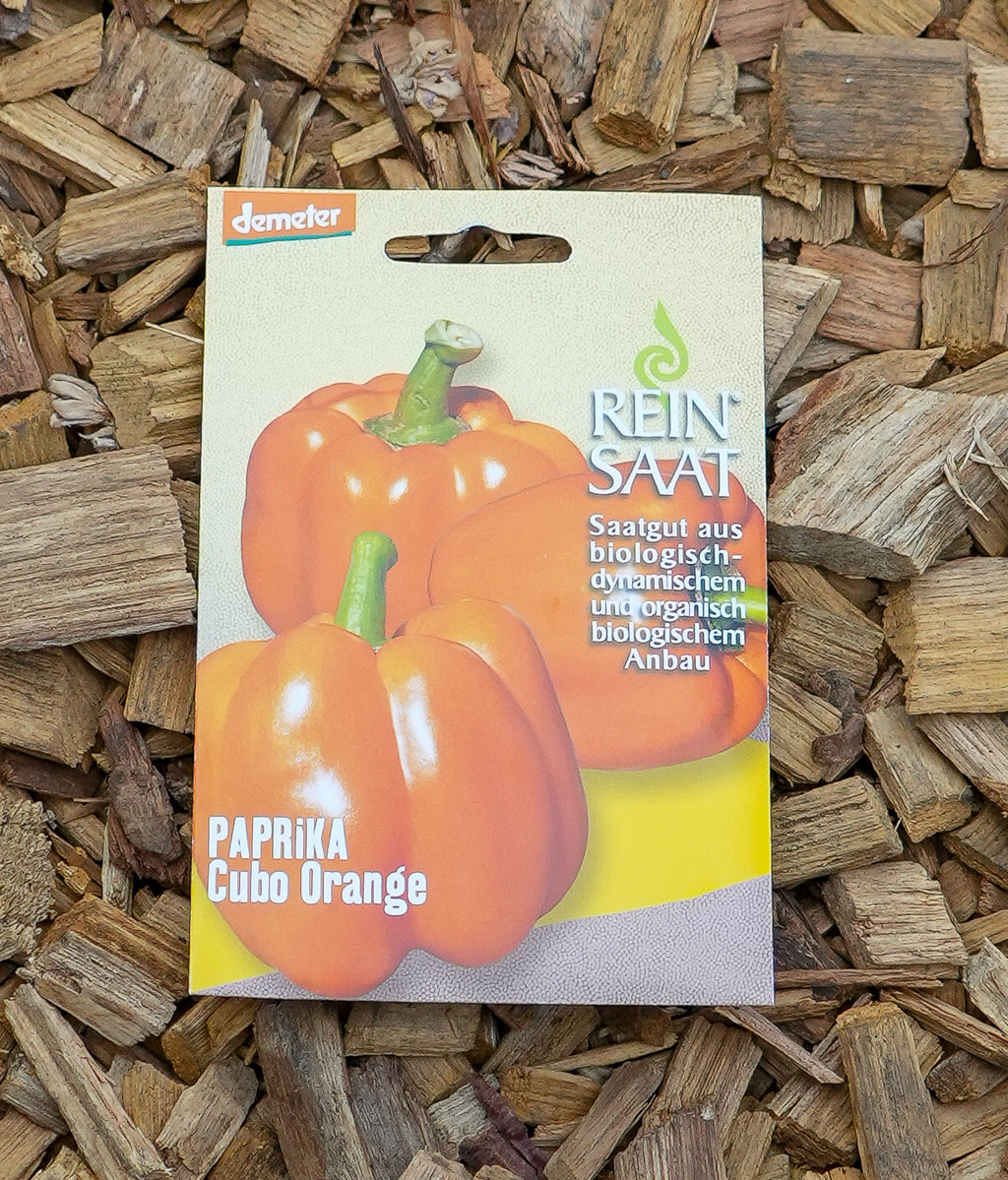 Paprika "Cubo Orange" Saatgut