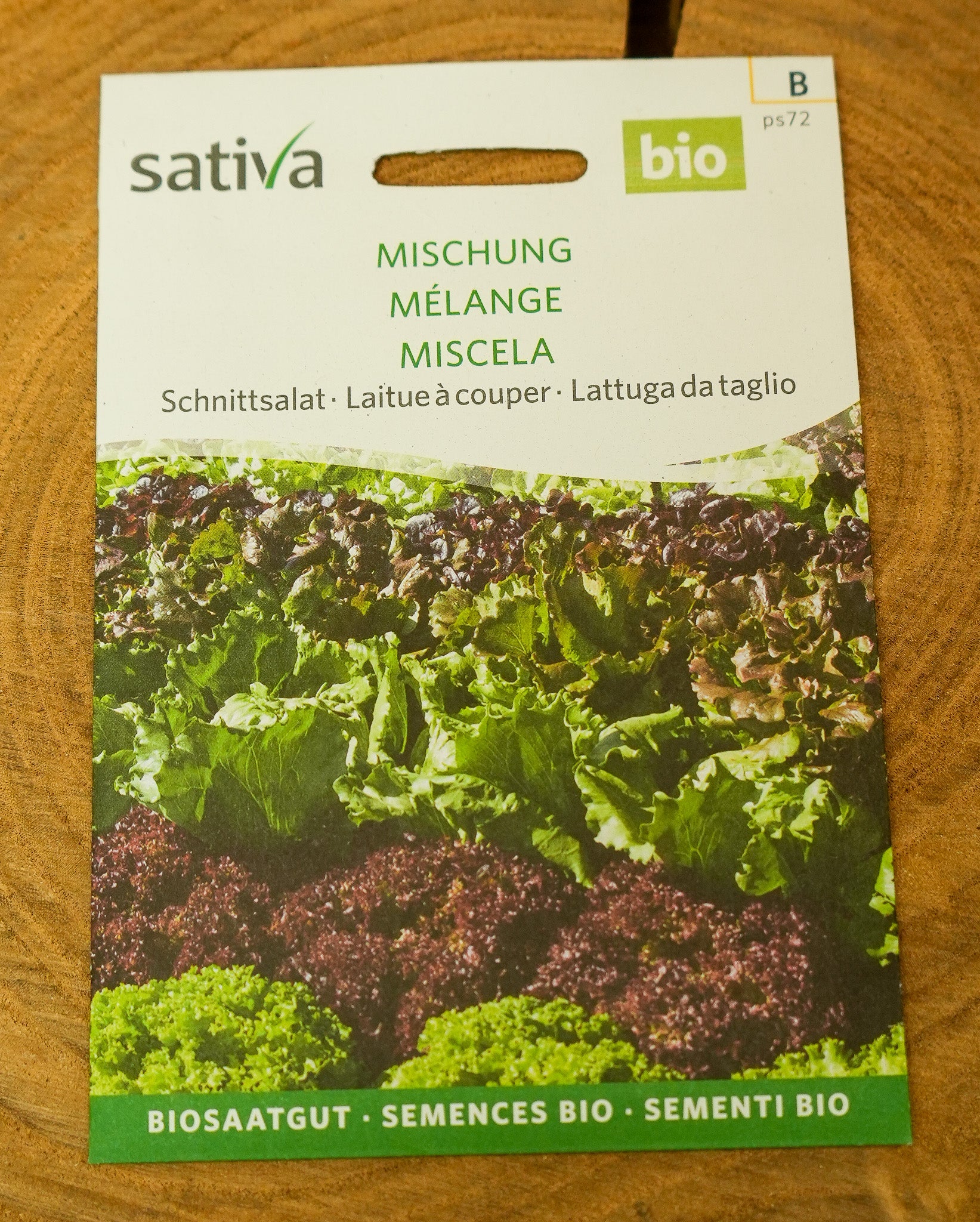 Pflücksalat Mischung "Bunte Palette" Sativa Saatgut