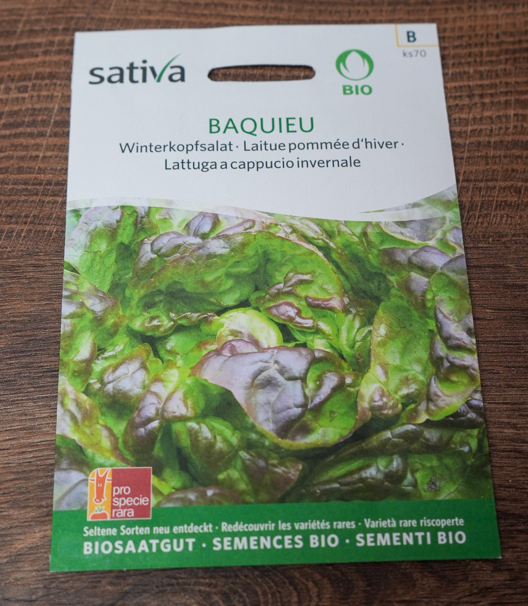 Wintersalat "Baquieu" Sativa Saatgut