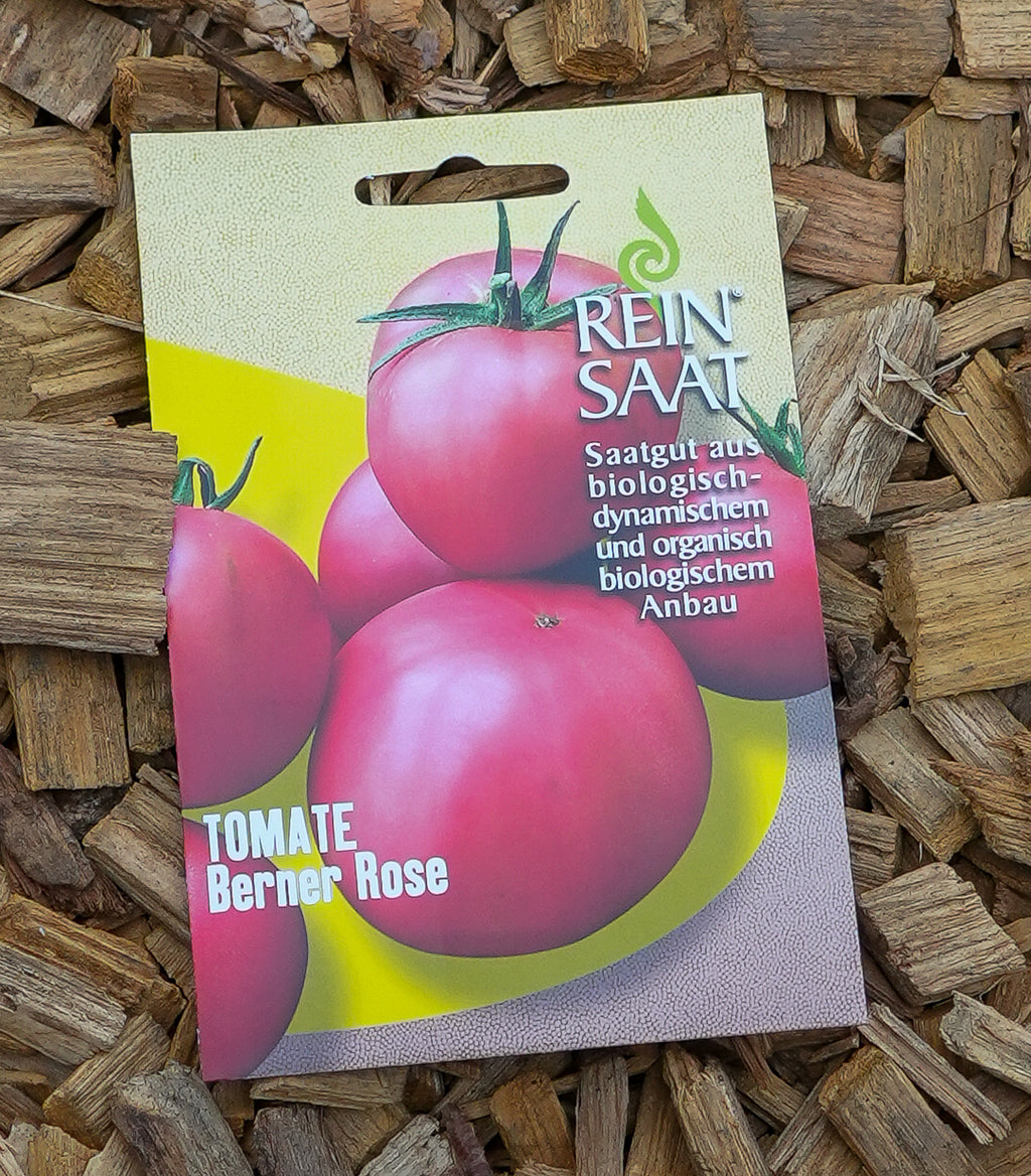 Tomate "Berner Rose" Saatgut
