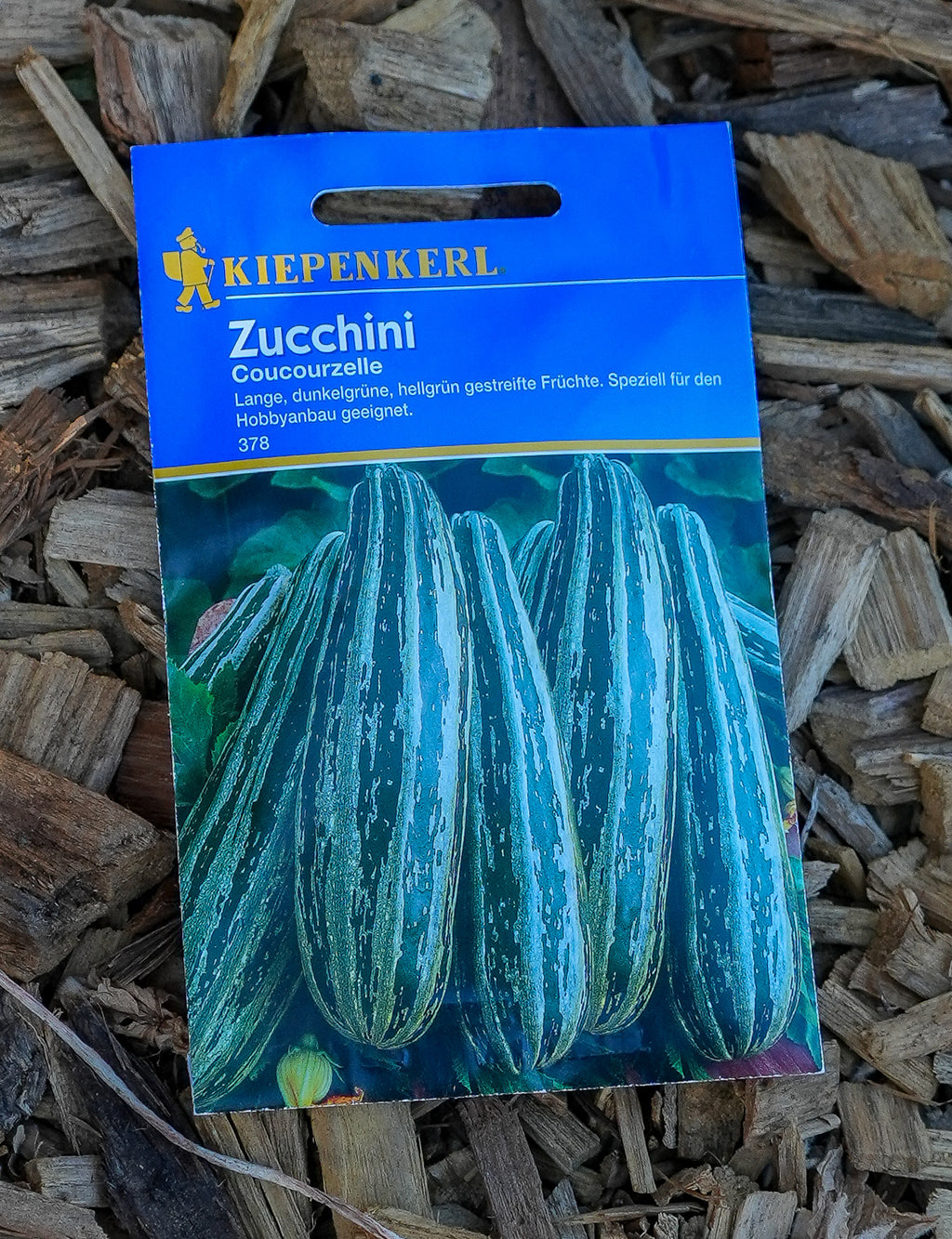 Zucchini "Coucourzelle" Saatgut