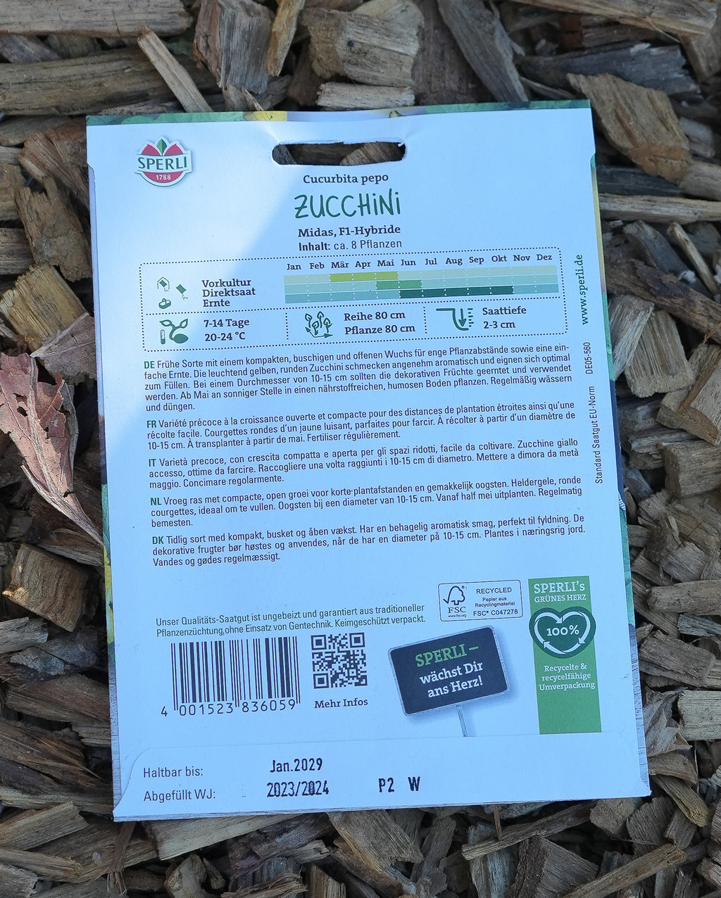 Zucchini "Midas" Sperli Saatgut F1