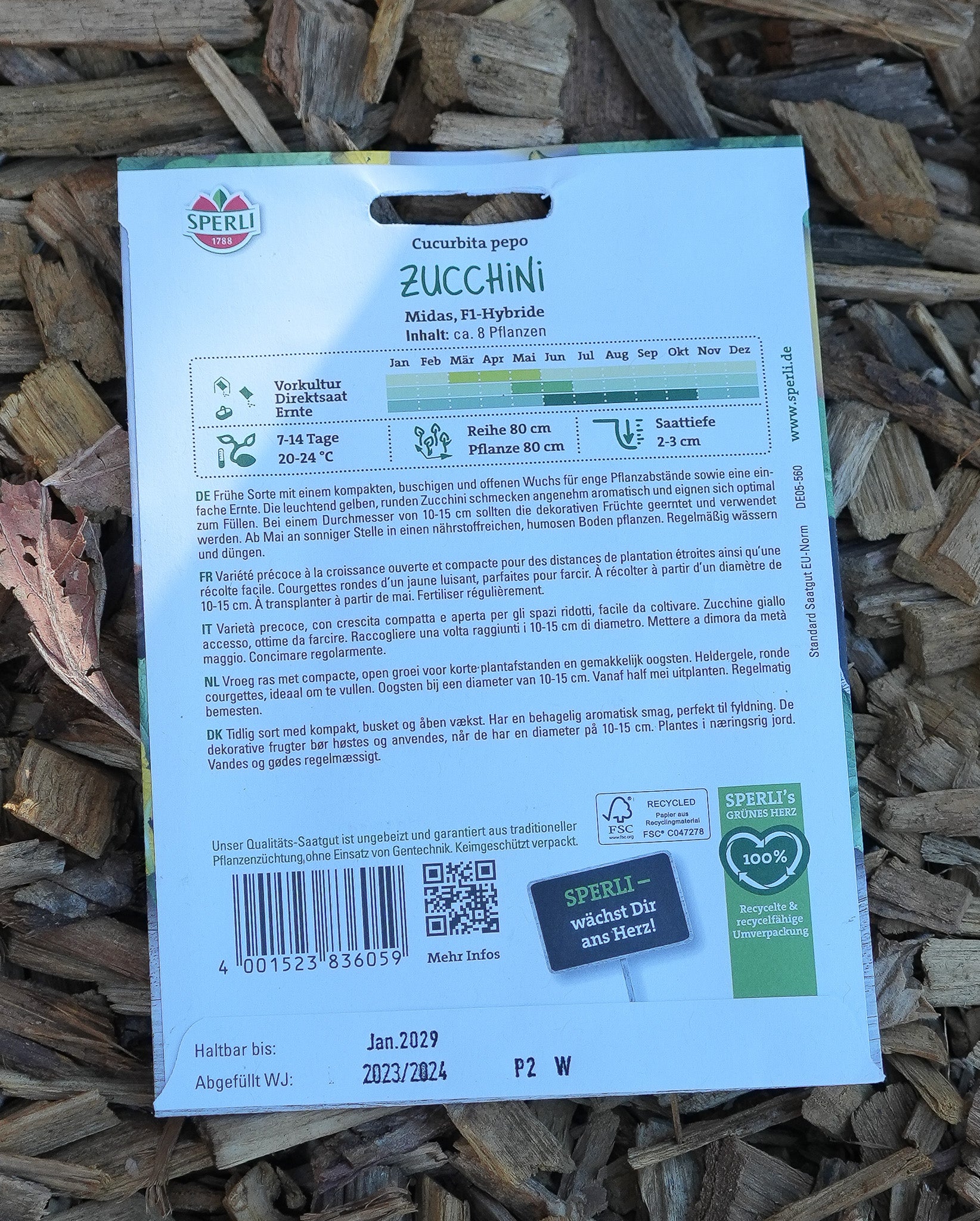 Zucchini "Midas" Sperli Saatgut F1